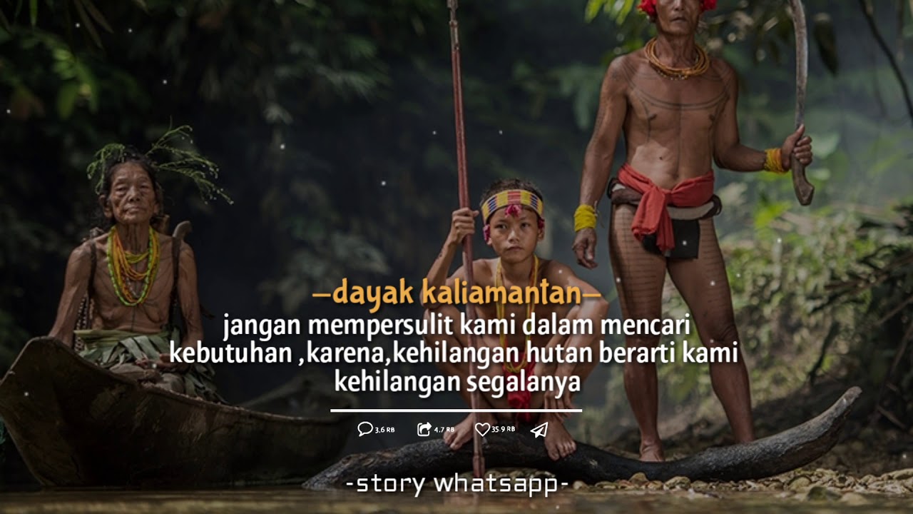 STORY WA SUKU DAYAK | KATA-KATA LEMBUT ORANG DAYAK UNTUK ORANG PERUSAHA'AN  - YouTube
